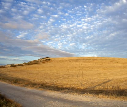 Road in the countryside - Way of St. James, Spain