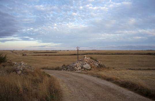 Road in the countryside - Way of St. James, Spain