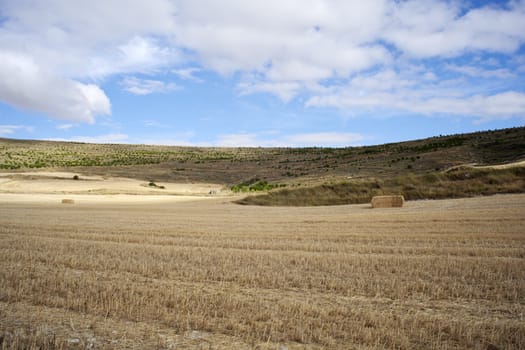 Rural scene in the countryside - Way of St. James
