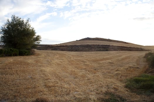 Rural scene in the countryside - Way of St. James