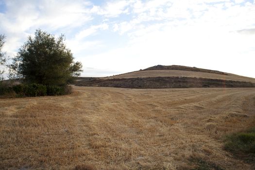 Rural scene in the countryside - Way of St. James