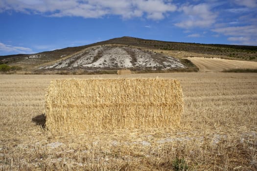 Bales of hay in the countryside