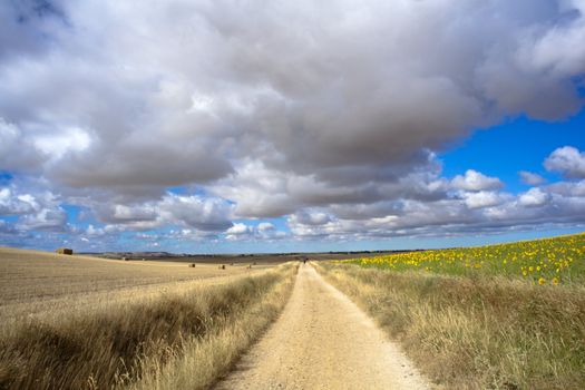 Road in the countryside with cloudy sky