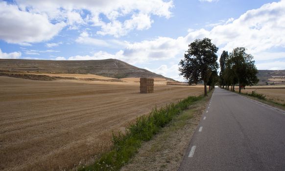 Road in the countryside with cloudy sky