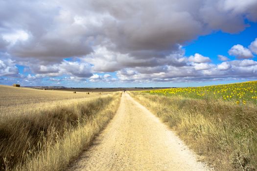 Road in the countryside with cloudy sky