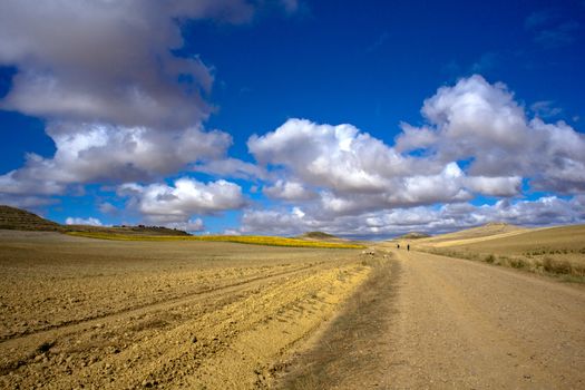 Road in the countryside with cloudy sky