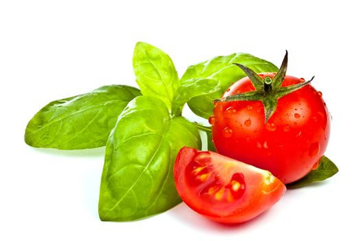 tomato of Pachino and basil on white background