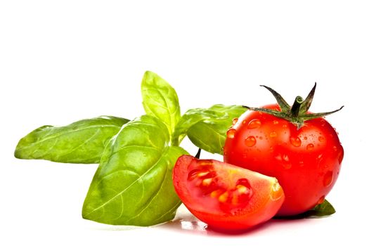 tomato of Pachino and basil on white background