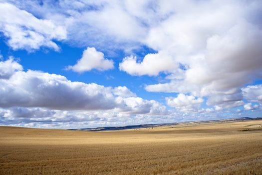 Spanish countryside, Way of St. James