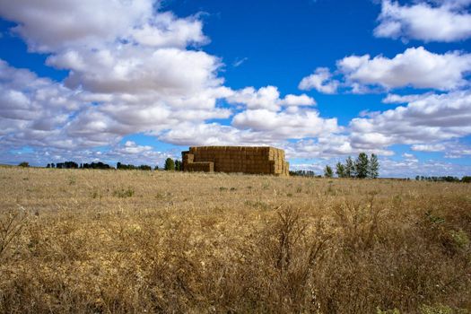 Spanish countryside, Way of St. James