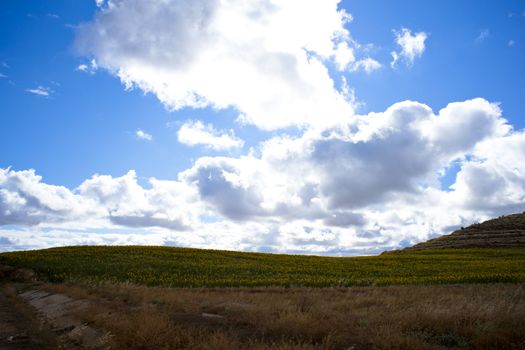 Spanish countryside, Way of St. James