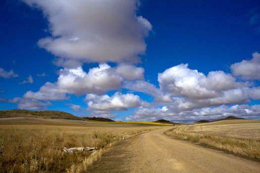 Road in the countryside, way of St. James - Spain