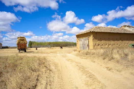 Road in the Spanish countryside