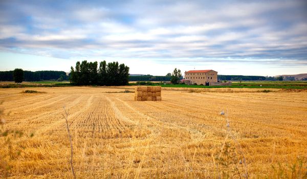 Bales of hay in spanish countryside