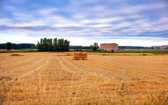 Bales of hay in spanish countryside