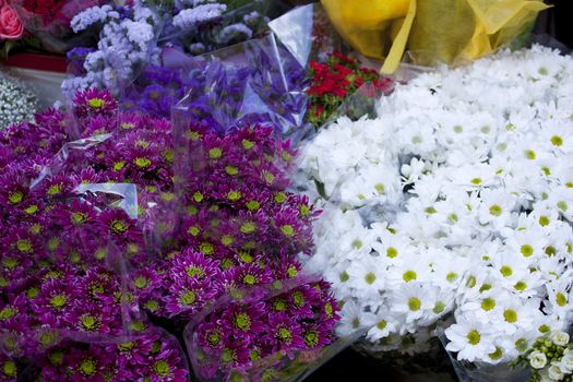 Bouquet of white and fuchsia flowers