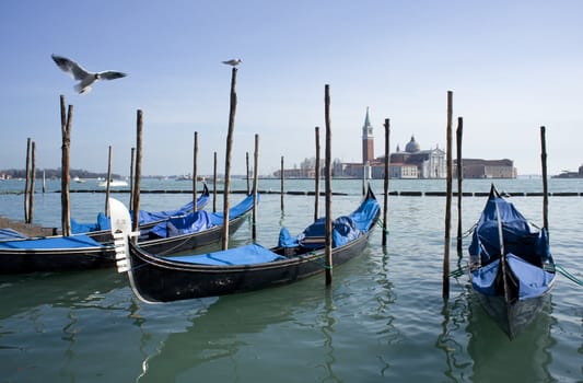 View of gondole in Venice