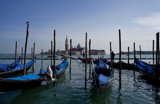 View of gondole in Venice