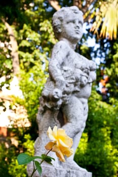 Photo of a yellow flower and a Cherub