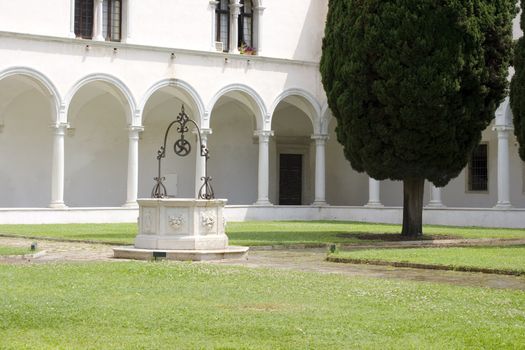 View of a Typical Venice yard
