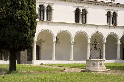 View of a Typical Venice yard