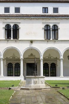 View of a Typical Venice yard