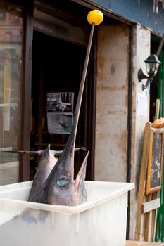 Swordfish inside a trasparent plastic box on a restaurant table