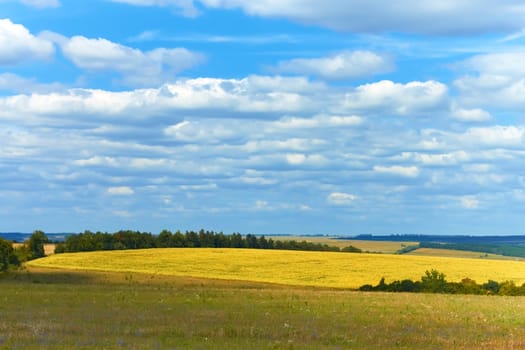 Rural landscape. Lightweight white clouds hanging over the picturesque fields, meadows and forests