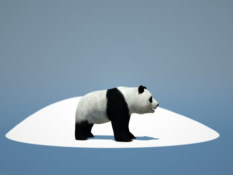 bamboo bear on white background