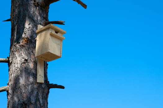 image of a wooden birds house on a tree