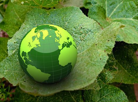 3d green earth on a leaf