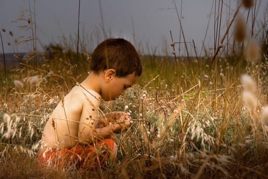 A young child in nature