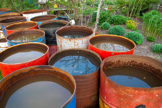 Old rusty water barrel in a garden
