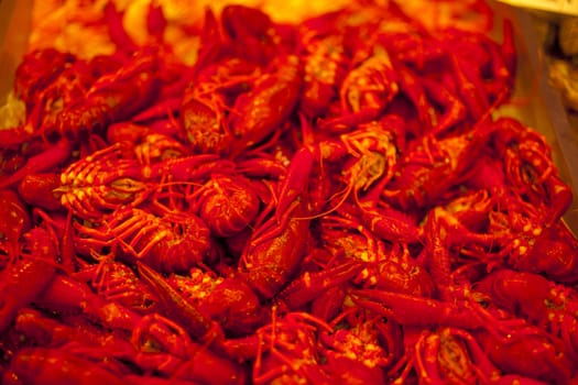 A lot of fresh shrimps