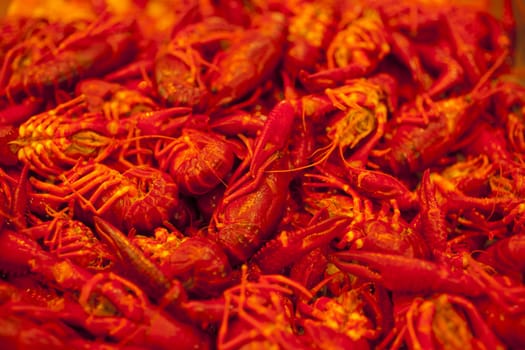 A lot of fresh shrimps