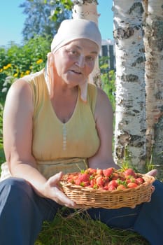 Senior woman holds in her hands flat basket with a ripe strawberry