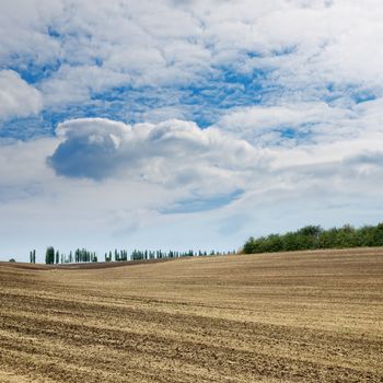 black field after harvesting