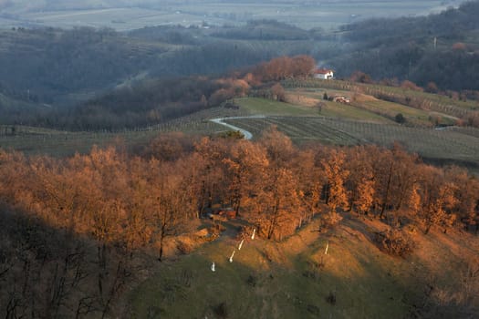 View of Slovenian countryside in the sunset