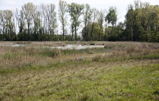 View of Biotope, resurgences of Flambro