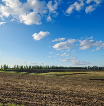 black ploughed field under blue sky