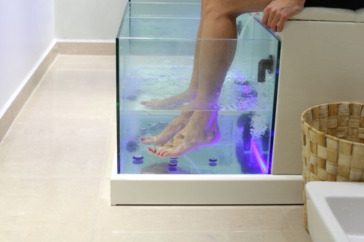 Foot fish care in a beauty foot salon