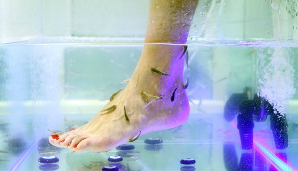 Foot fish care in a beauty foot salon