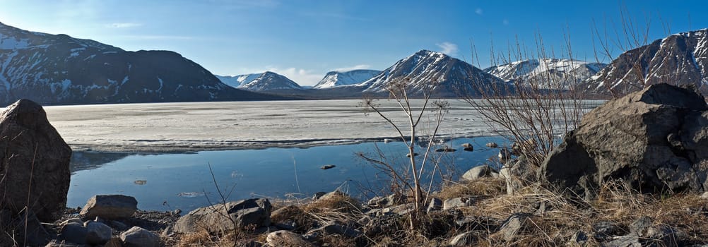 Dry plants and  blooming willow on the bank of lake in mountains