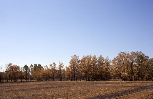 The dry grass in the field burned