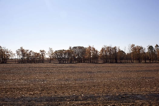 The dry grass in the field burned