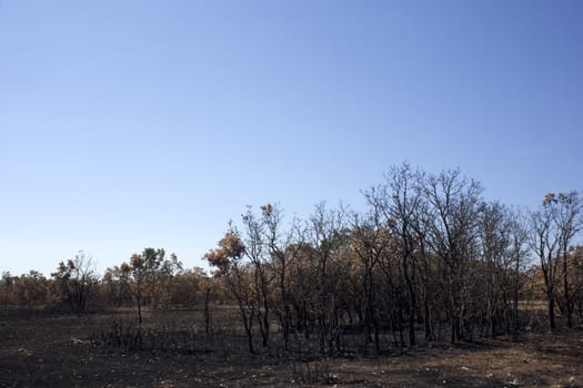 The dry grass in the field burned