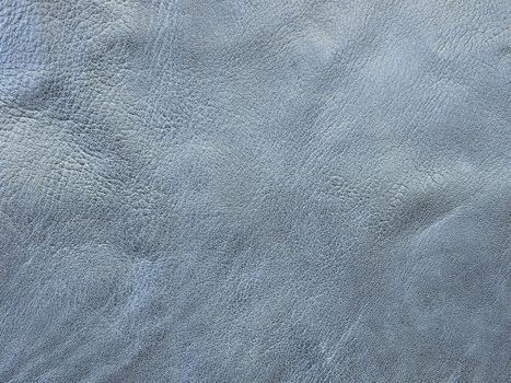 skin texture blue