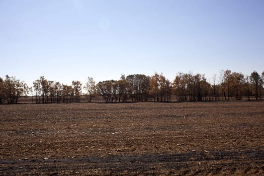 The dry grass in the field burned