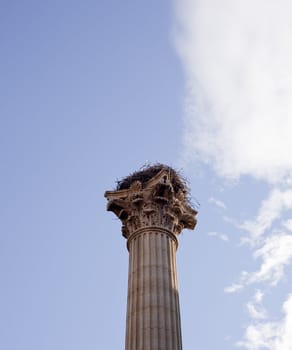A stork nest on the Column of the Memorial for the VII Legion, Leon - Spain