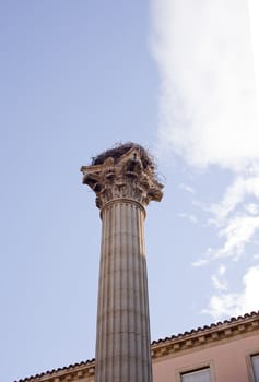 A stork nest on the Column of the Memorial for the VII Legion, Leon - Spain